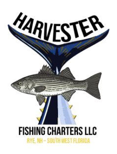 Harvester Fishing Charters LLC - Inshore and Offshore Striped Bass Fishin Charters, Bluefin Tuna Fishing Charters, Deep Sea Fishing Charters, and Private Charters in Rye NH
