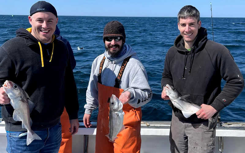 Harvester Fishing Charters LLC - Deep Sea Charters from Rye New Hampshire