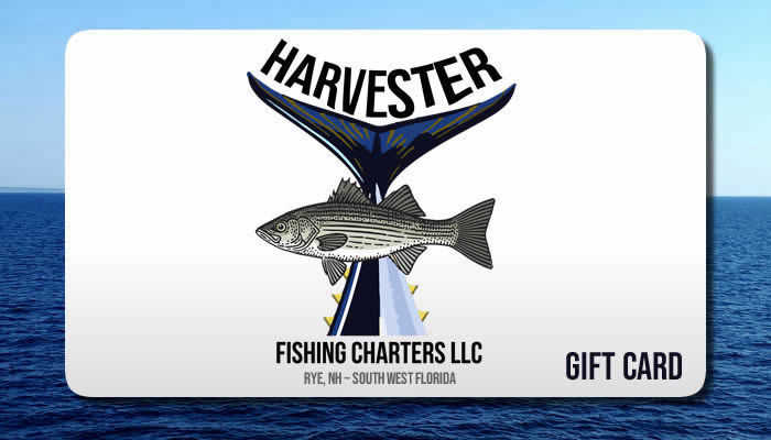 Harvester Fishing Charter Gift Cards for sale