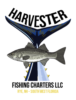 Harvester Fishing Charters LLC - Inshore and Offshore striped bass fishing charters, tuna fishing charters, deep sea fishing charters, and private charters in Rye NH