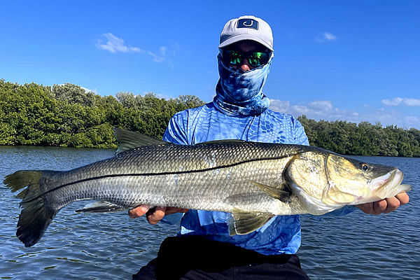 Here at Harvester Fishing Charters, LLC, we know the area and provide the BEST opportunities for snook, redfish, sea trout, sheepshead, mangrove snapper, and more in the beautiful waters of South West Florida. 